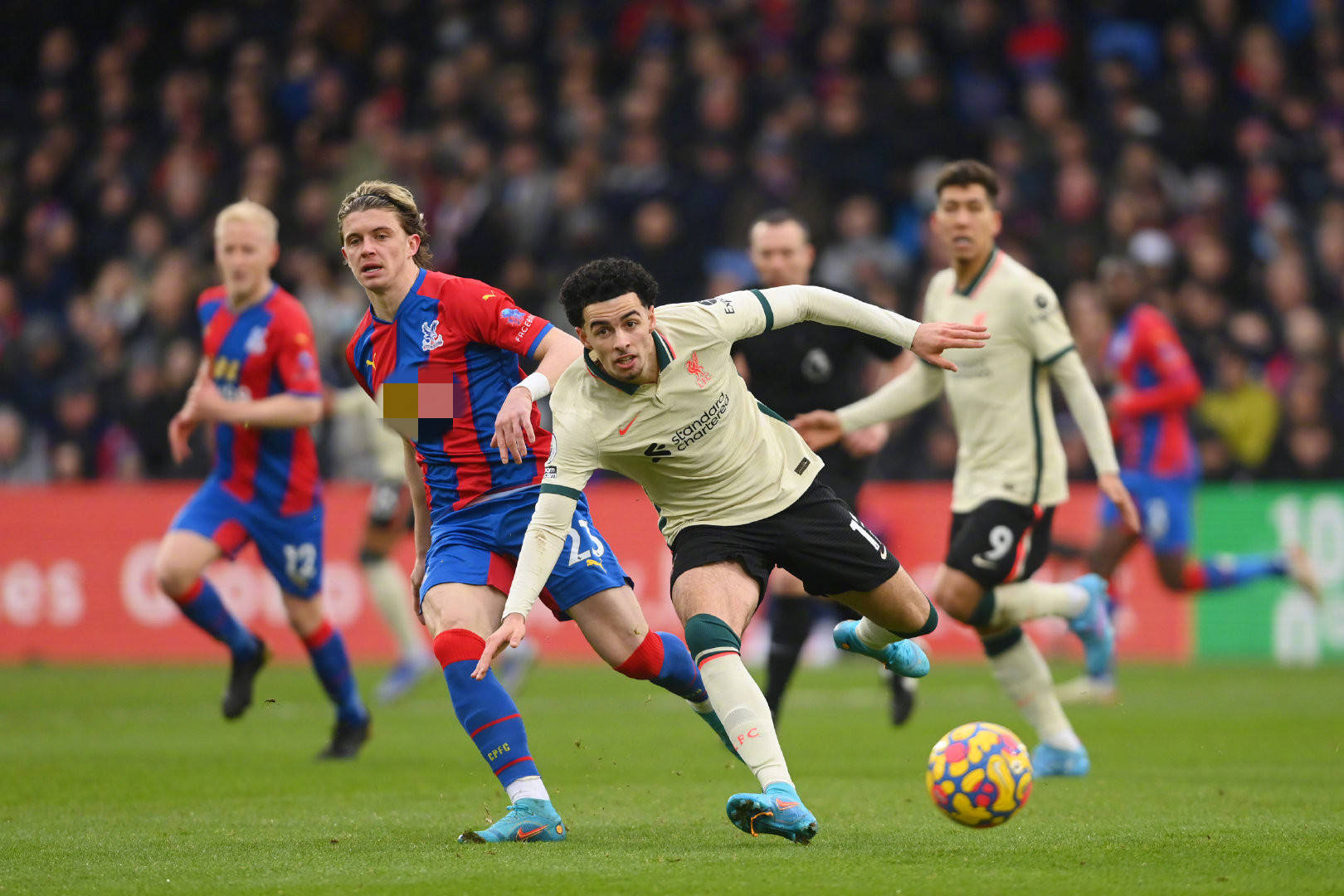 拉伊奥拉作 拉伊奥拉作